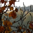 l'automne a paris