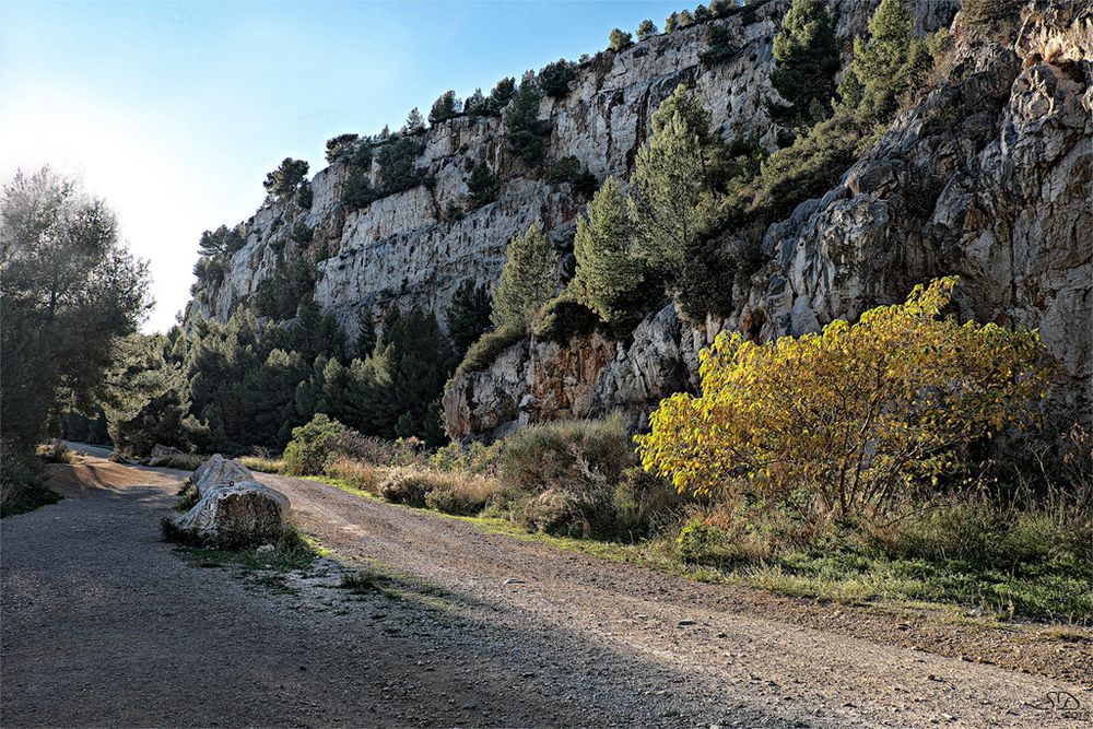 L'automne à Port Miou .