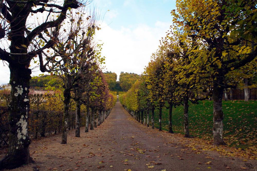 L'automne à Villandry