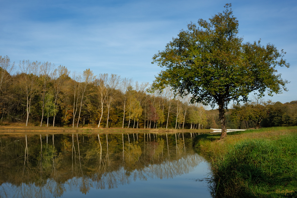 L'automne