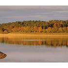 l'automne au barrage