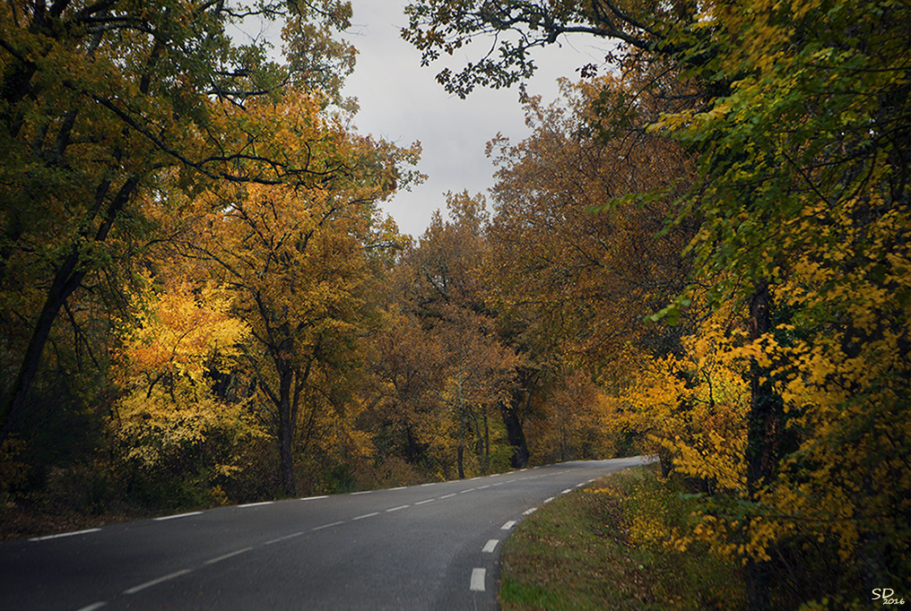 L'automne au bord de la route