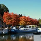 L'automne au bord de l'Erdre 