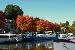 L'automne au bord de l'Erdre 