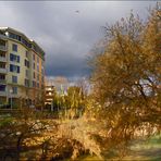 L'automne au bord de ma rivière