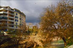 L'automne au bord de ma rivière