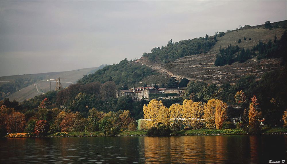 L'automne au bord du Rhône...