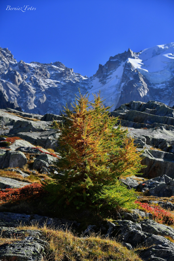 L'automne au dessus de Chamonix