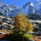 L'automne au dessus de Chamonix