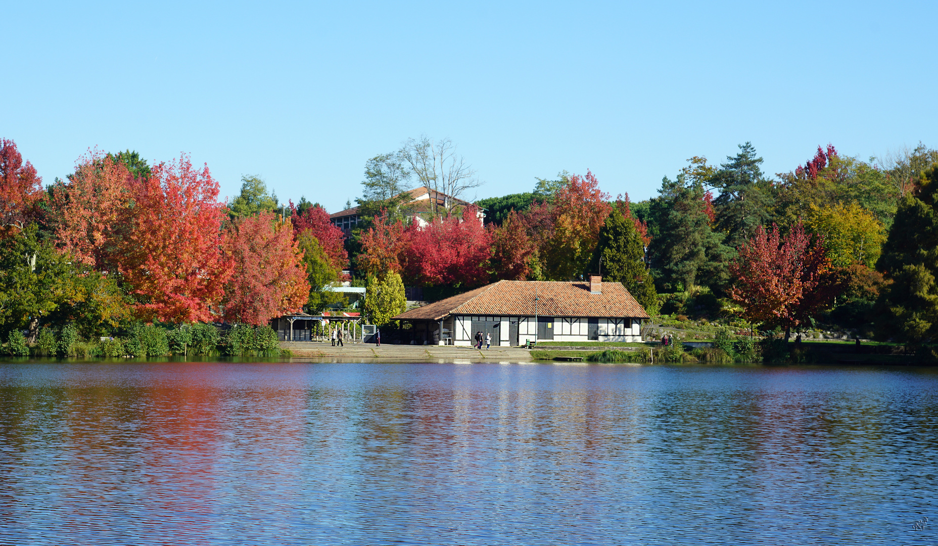 L'automne au lac ...