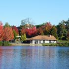 L'automne au lac ...