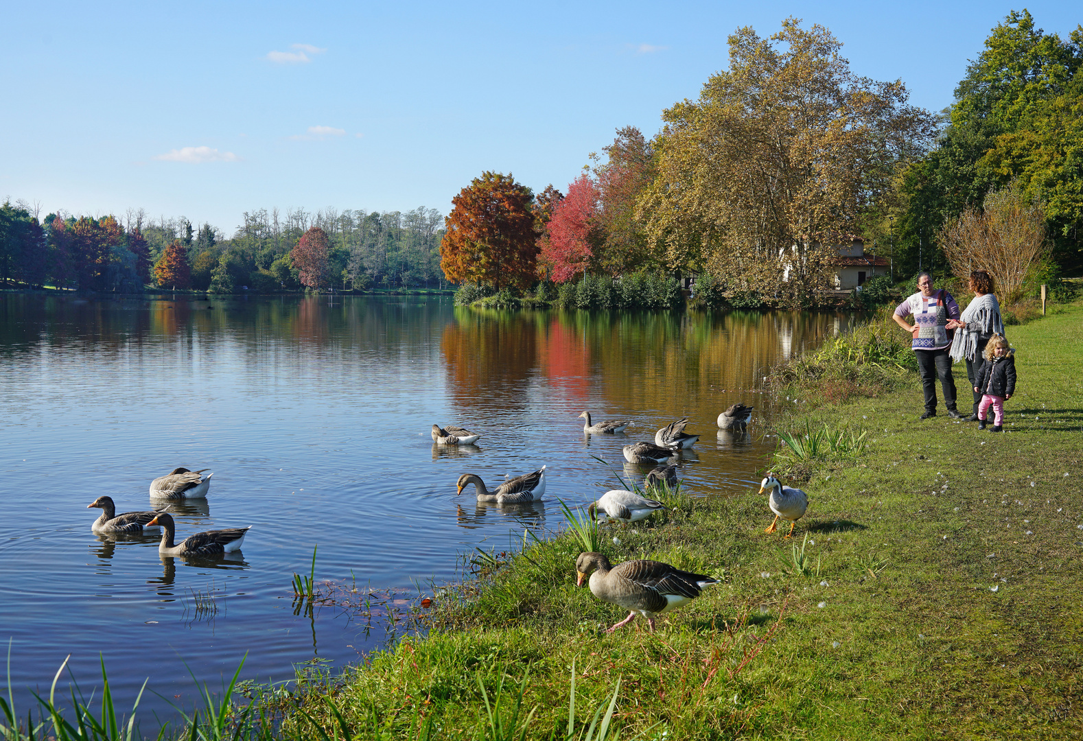 L'automne au lac