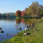 L'automne au lac