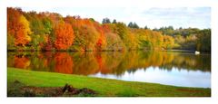 l'automne au lac