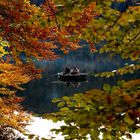 L'automne au lac de Bonlieu - Jura.