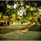 L'automne au parc