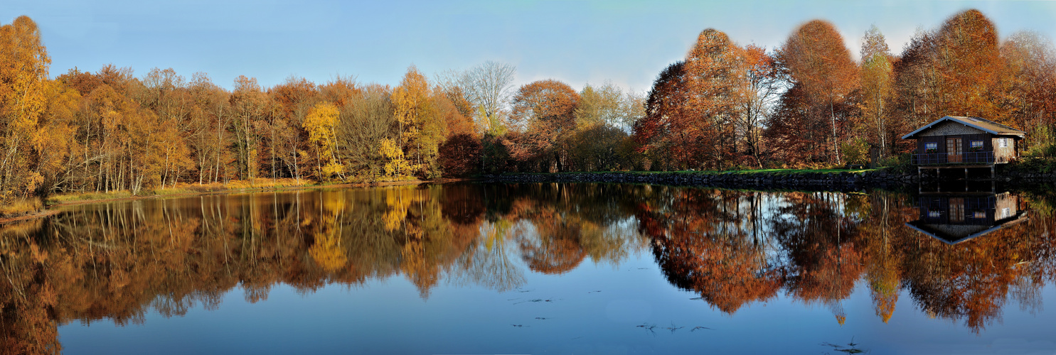 L'automne au Plateau des Mille étangs.