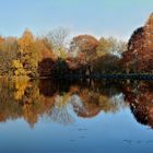 L'automne au Plateau des Mille étangs.