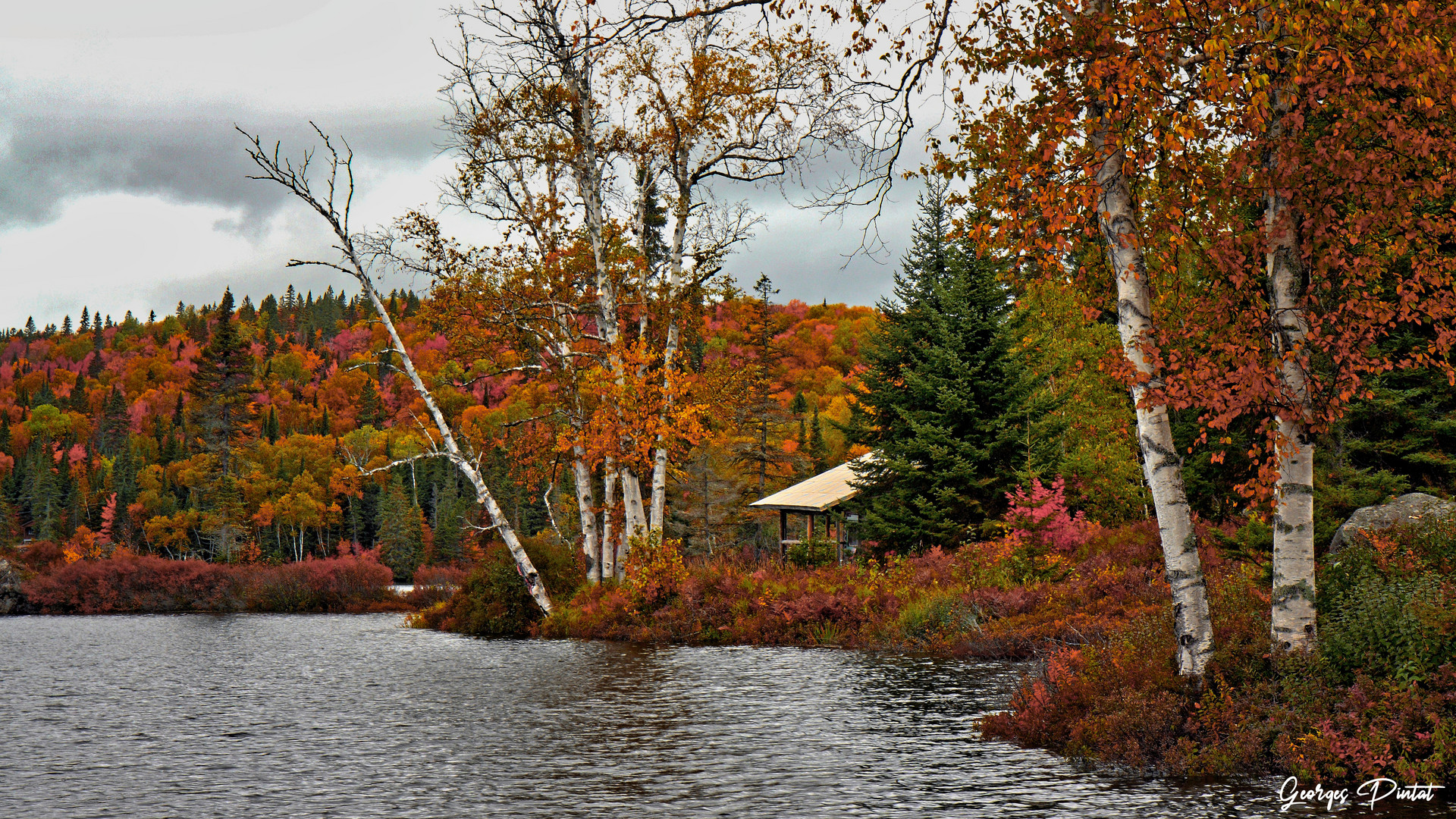 L'automne au Québec