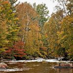 L'automne au Québec