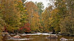 L'automne au Québec