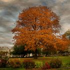 L'AUTOMNE AU TUILERIES...................1