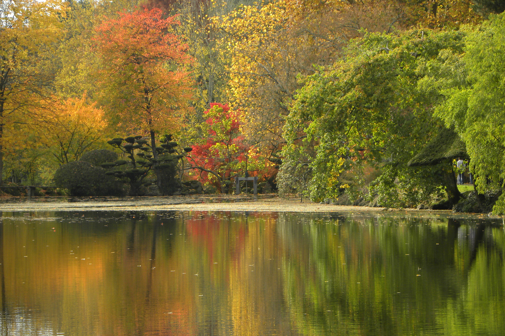 L'Automne