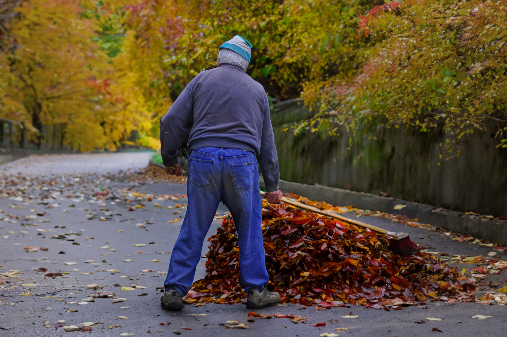 L'automne belle saison que pour les photographes!