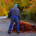 L'automne belle saison que pour les photographes!