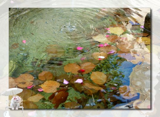 * l'automne c'est . *