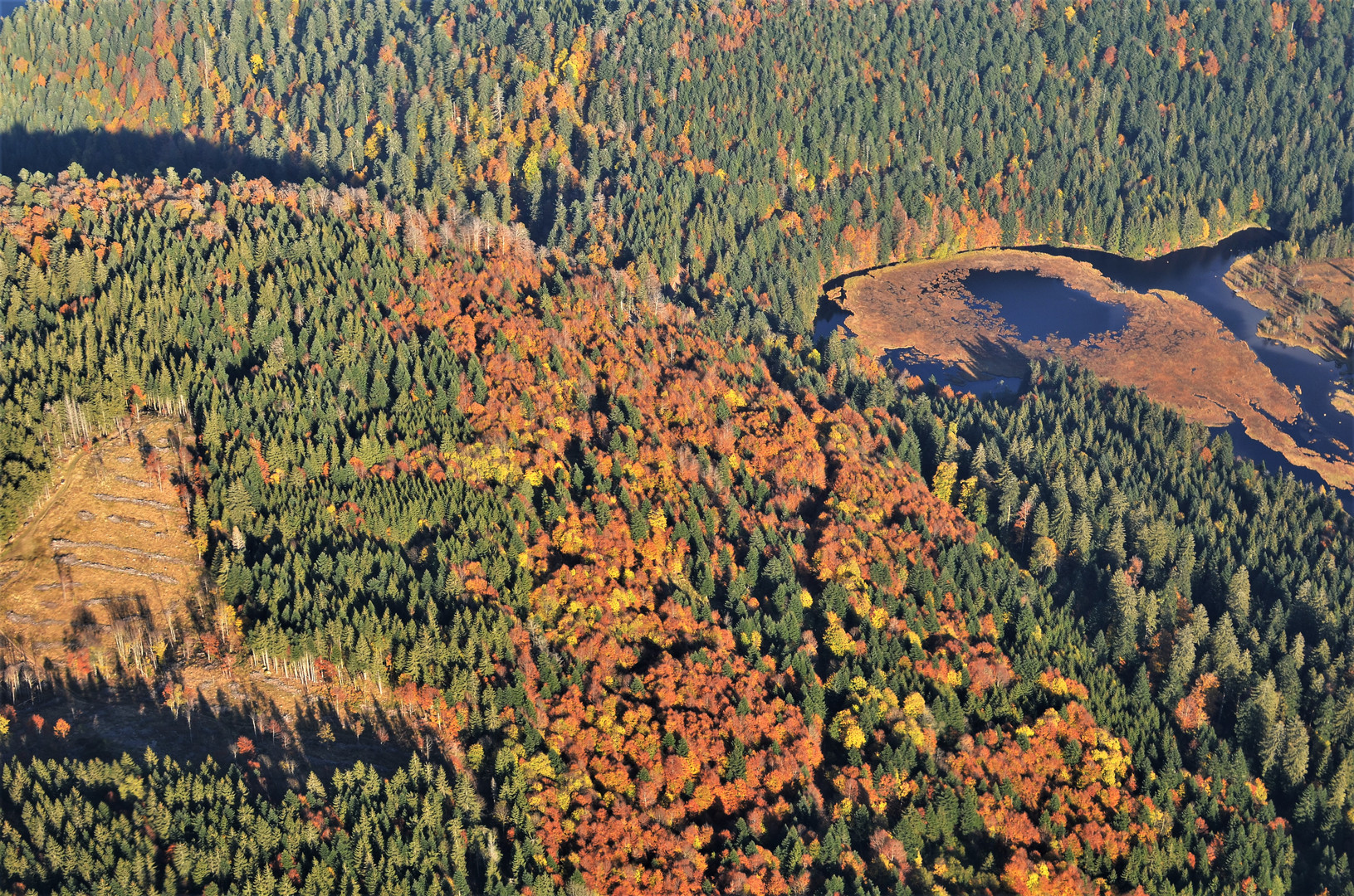 L'automne dans haut