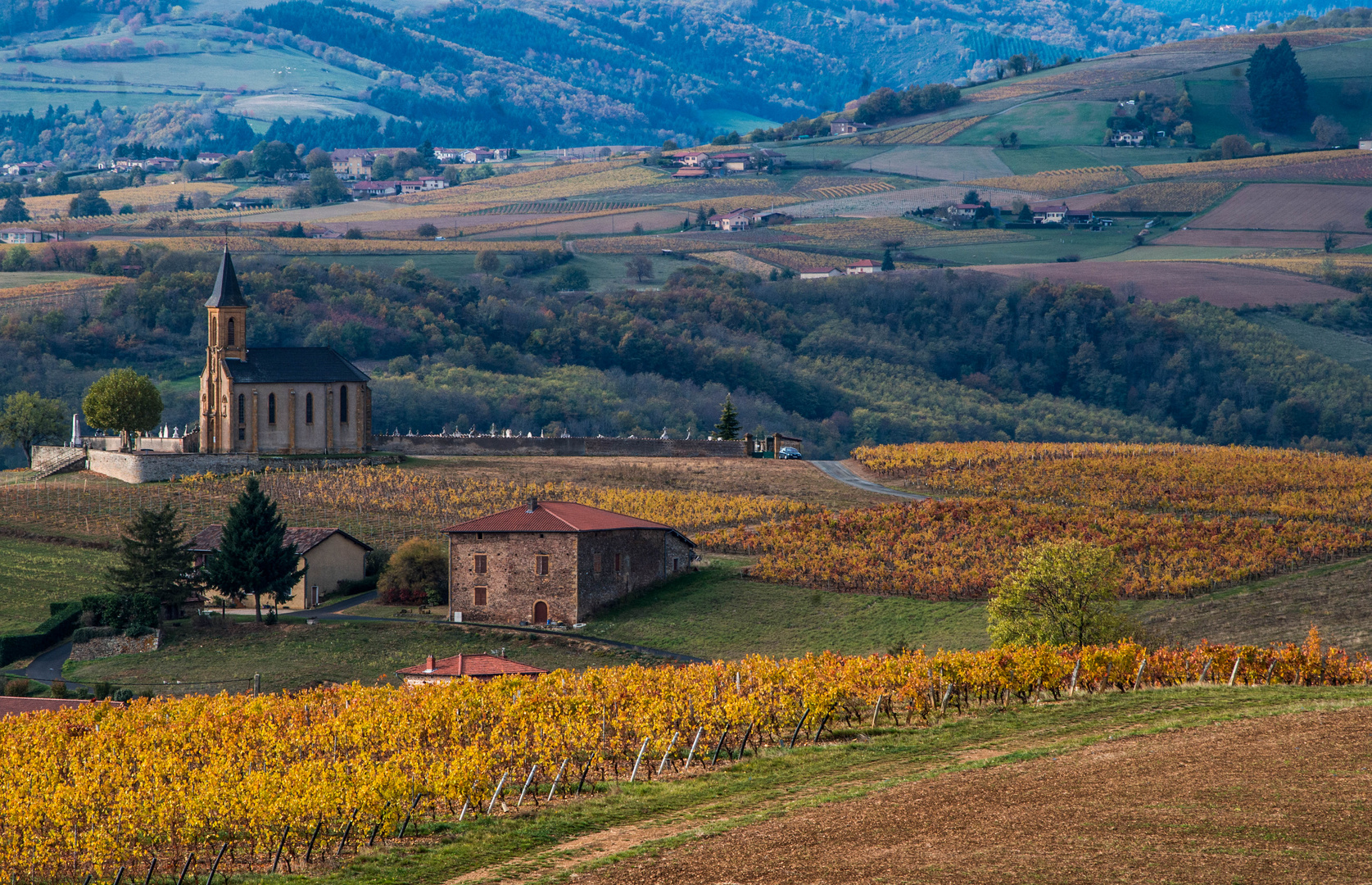 l'automne dans le Beaujolais