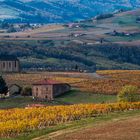 l'automne dans le Beaujolais