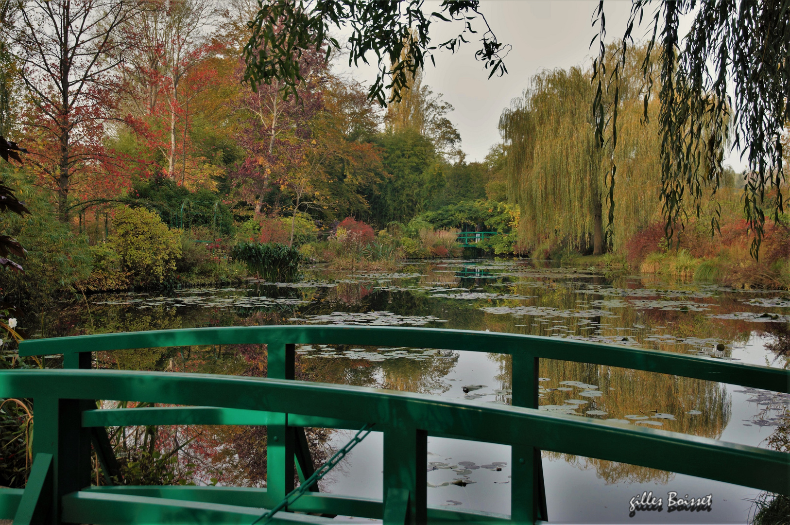 l'automne dans le jardin de Monet 1
