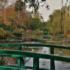 l'automne dans le jardin de Monet 1