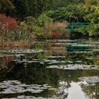 l'automne dans le jardin de Monet 2