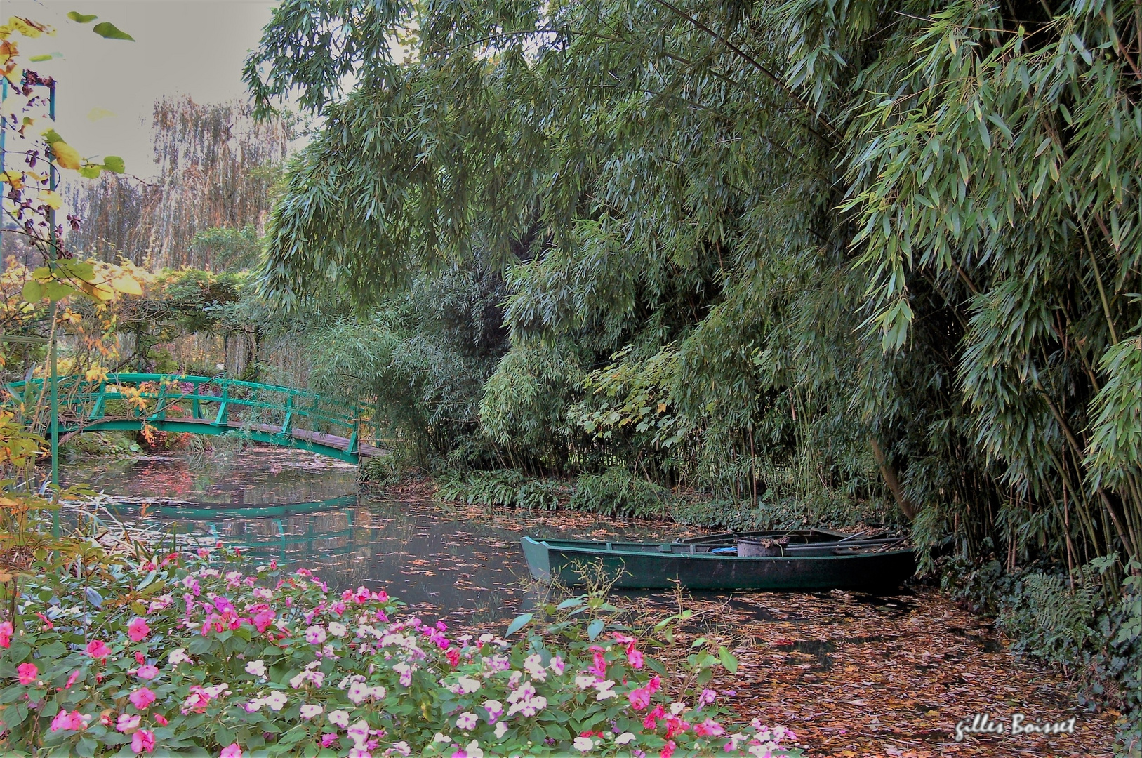 l'automne dans le jardin de Monet 3