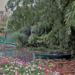 l'automne dans le jardin de Monet 3