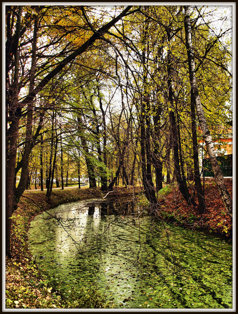 L'automne dans le parc #1