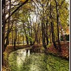 L'automne dans le parc #1