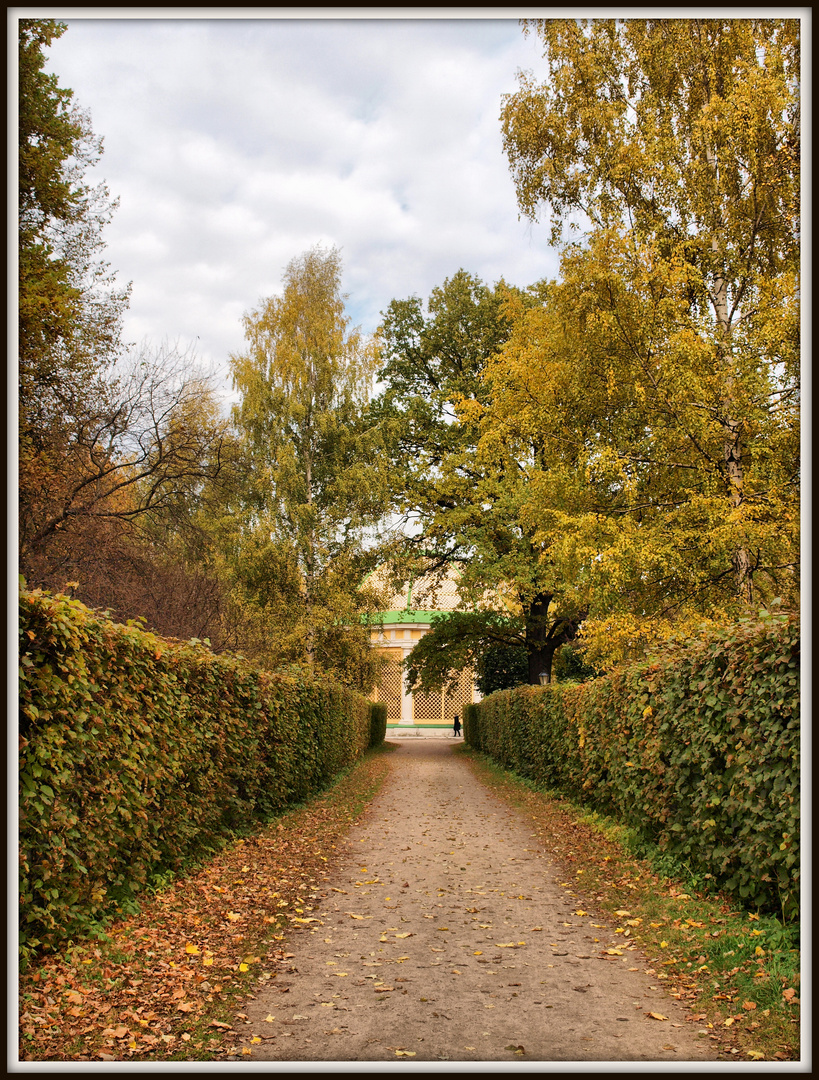 L'automne dans le parc #2