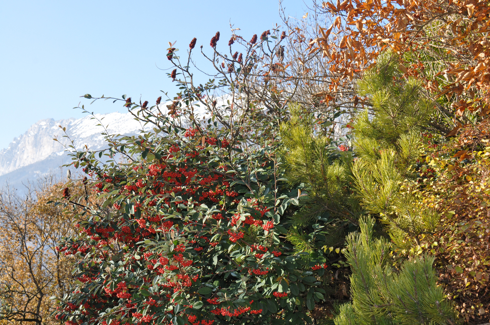 l'automne dans toute sa splendeur