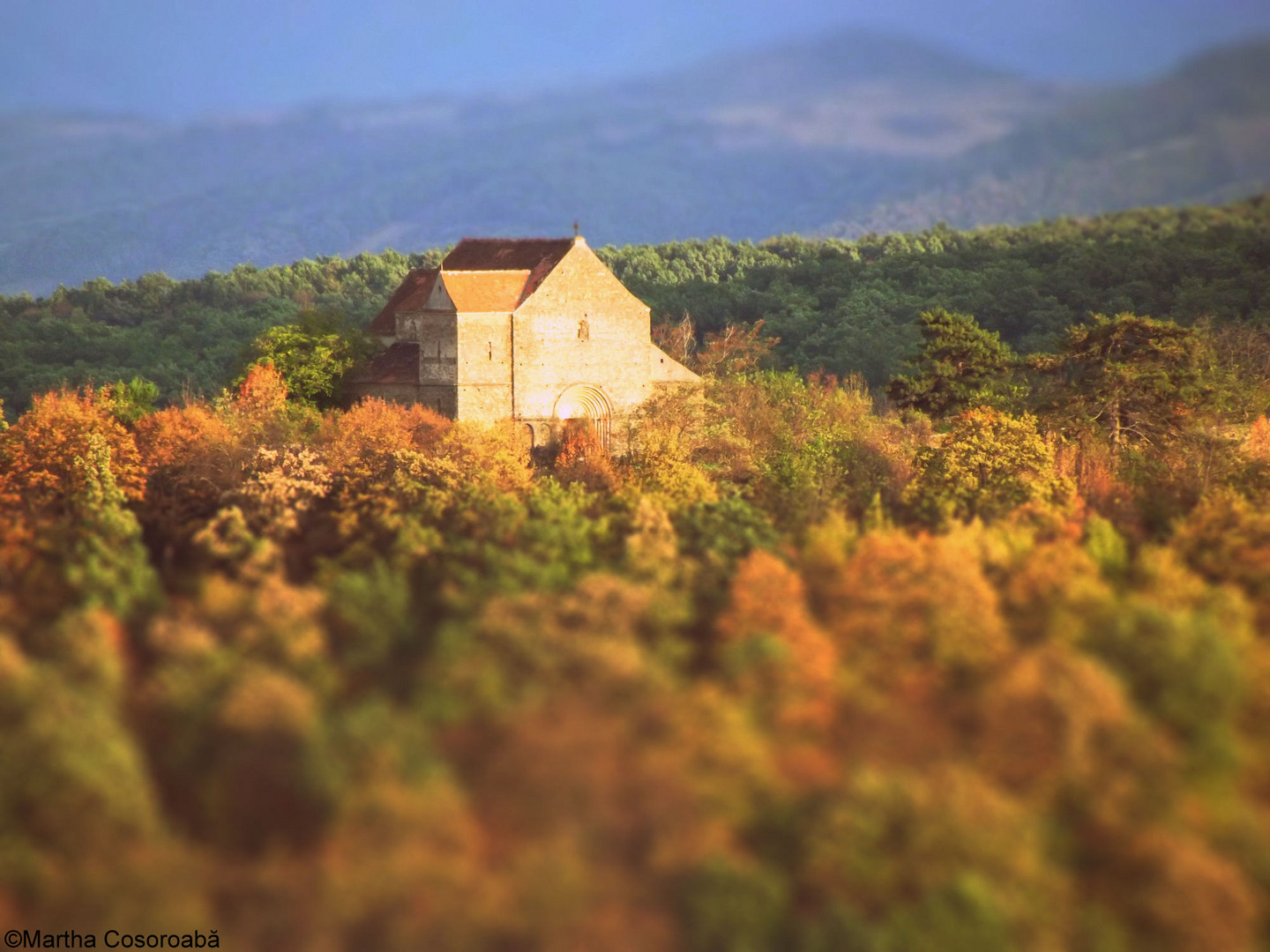 L'automne de la vie