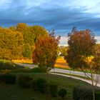 L'automne depuis ma fenetre