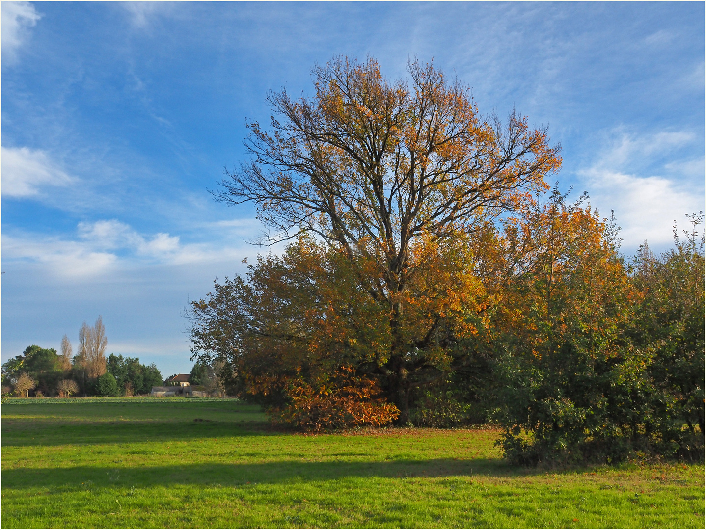 L’automne derrière chez moi