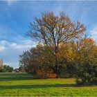 L’automne derrière chez moi