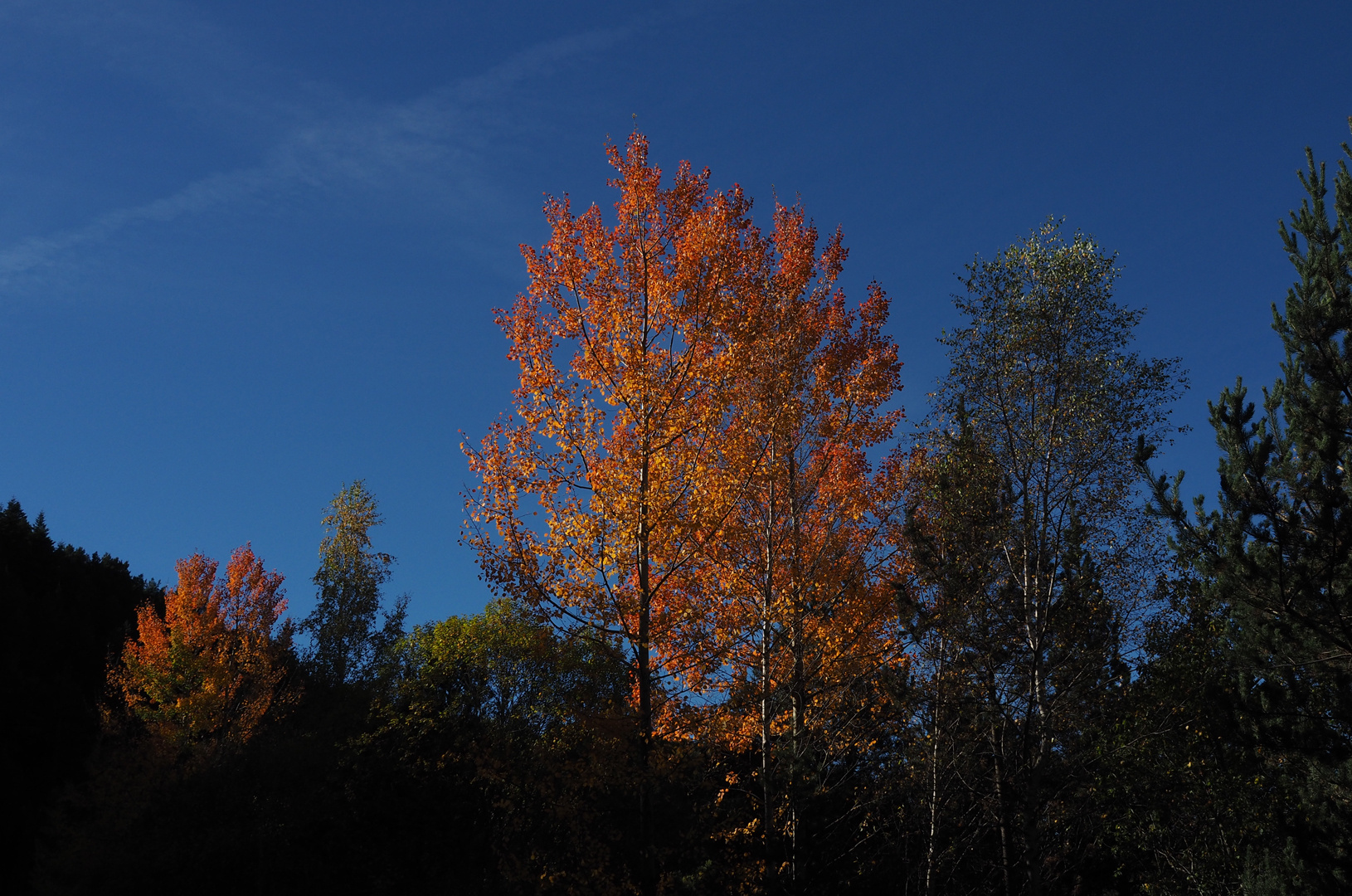 L’automne en Andorre