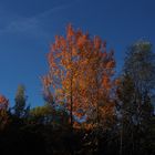 L’automne en Andorre