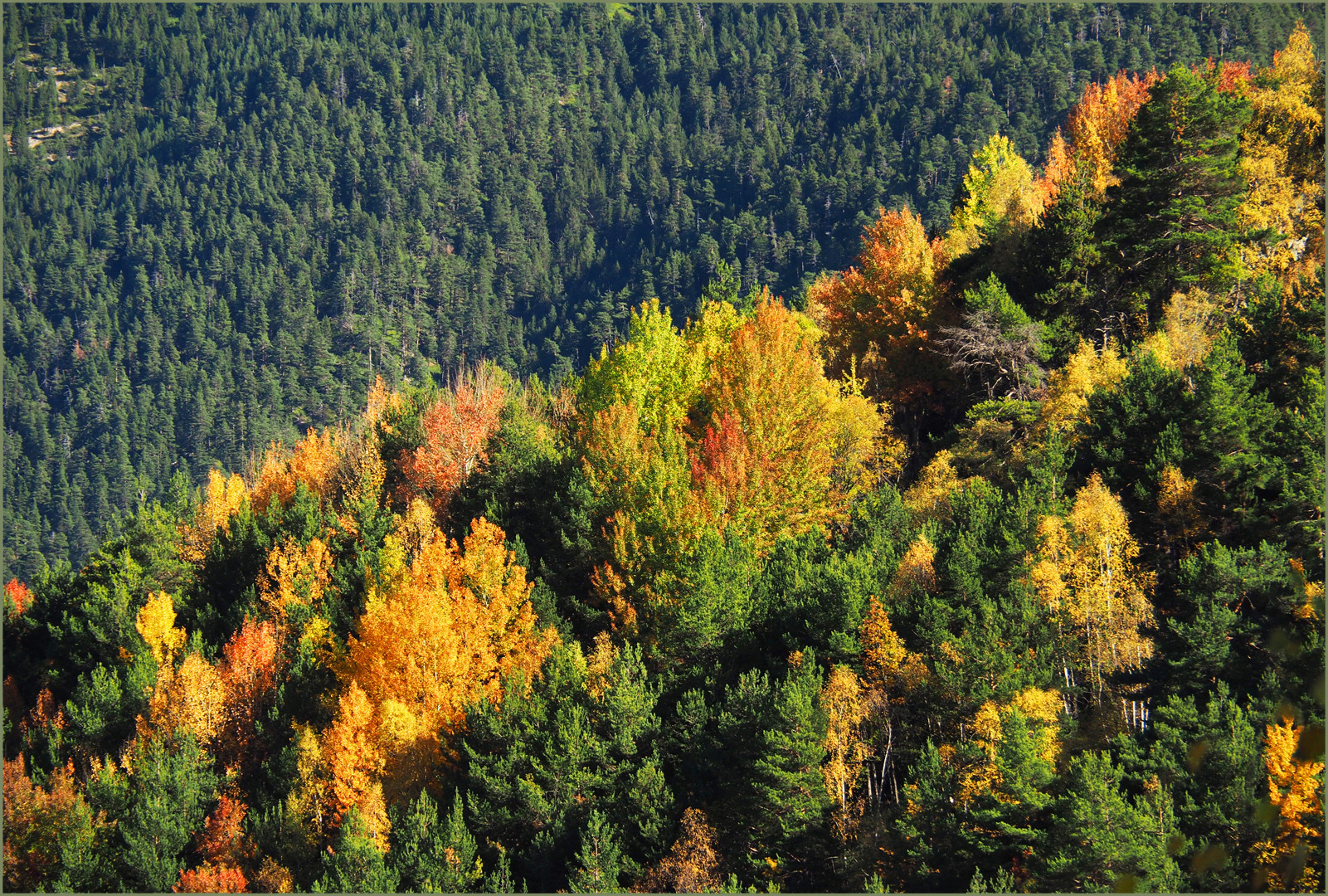 L’automne en Andorre *