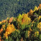 L’automne en Andorre *
